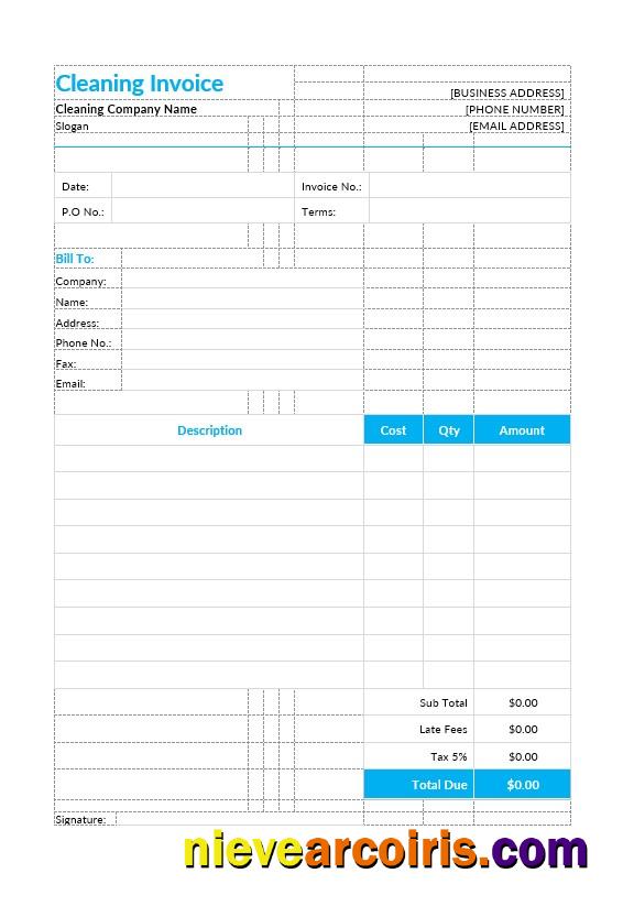 Cleaning Invoice